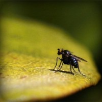 /album/diosgyori-caritas-/photolia-a07-jpg/